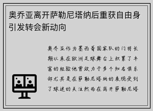 奥乔亚离开萨勒尼塔纳后重获自由身引发转会新动向